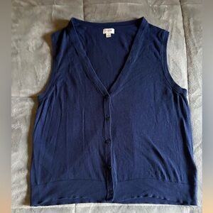 J. Crew Deep Blue V-Neck Sweater